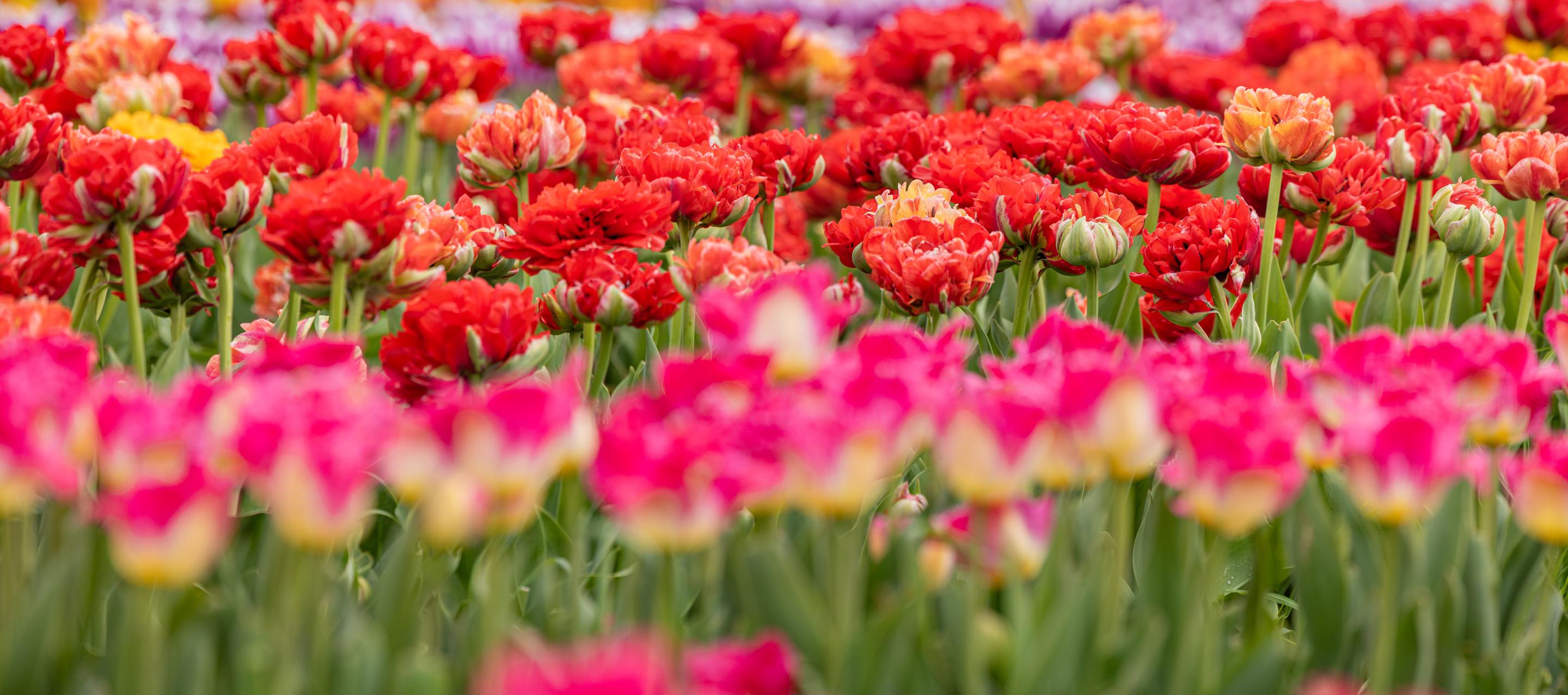 TASC2024 May 4 - Tony